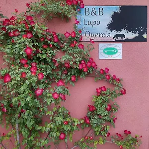 Il Lupo E La Quercia Castelnuovo Magra