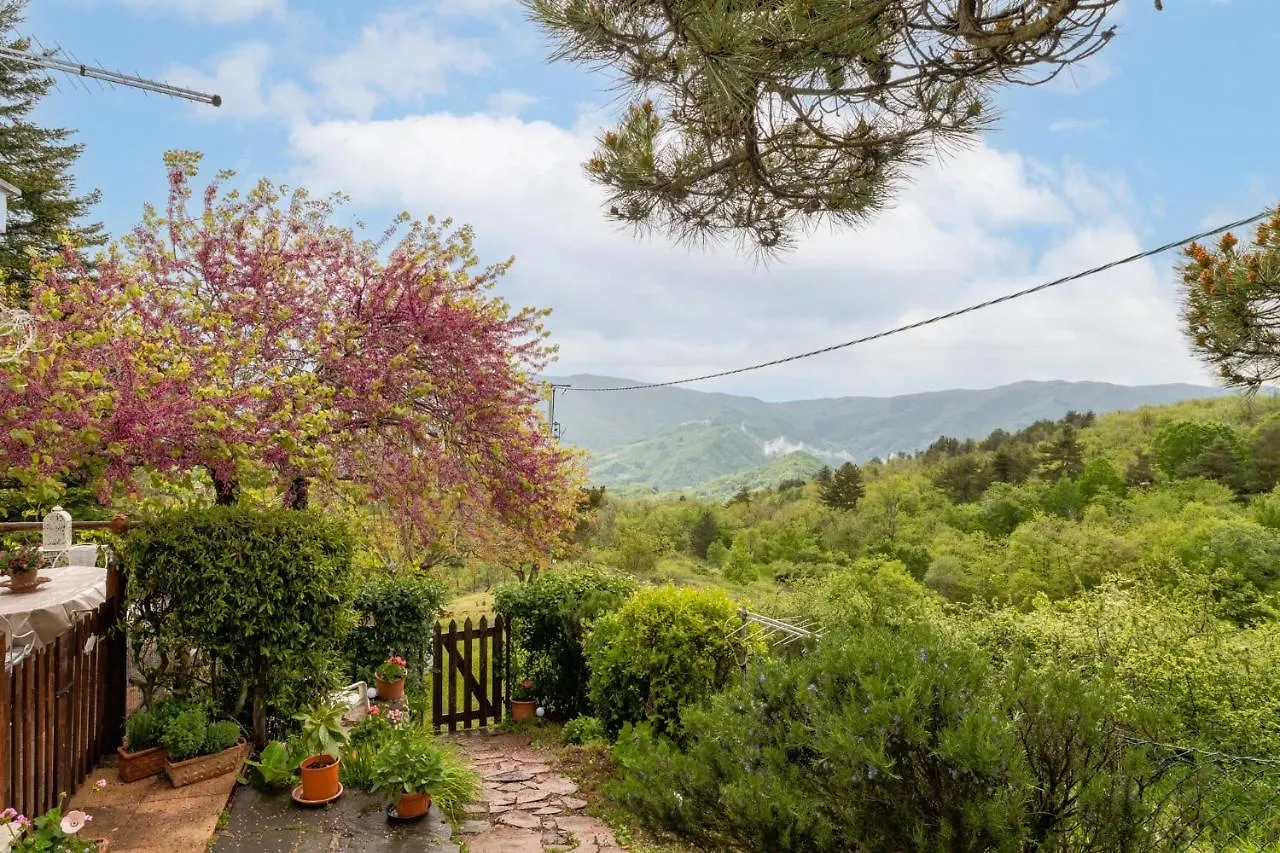 Sassi Scritti - Acero Montano Apartment Montefegatesi